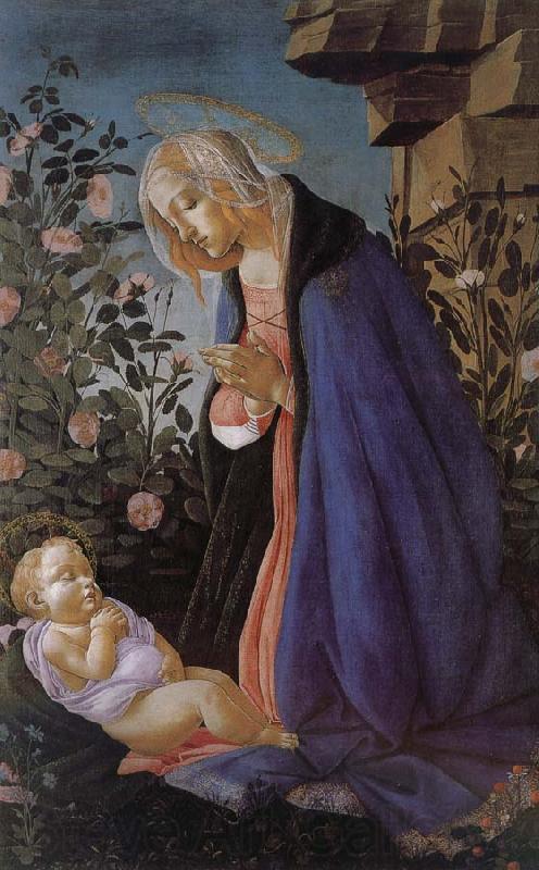 Sandro Botticelli Our Lady of the Son and the sleeping Germany oil painting art